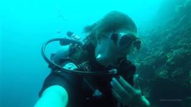 SashaBae Onlyfans Dive Premium Video