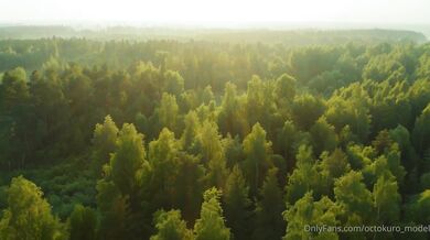 Octokuro Werewolf Fuck Traveler in Forest Onlyfans