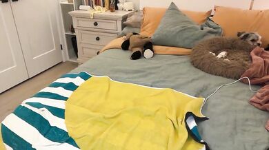 callmejojoxx Skinny Camgirl Stream Chaturbate