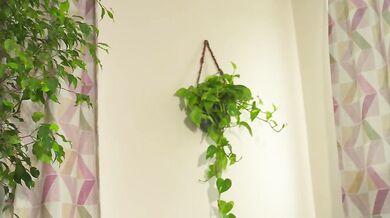 whisper_of_love Finger Pussy in Panties Chaturbate