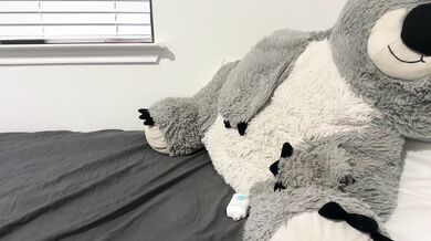 kykybaby4444 Stripchat Dildo Fuck