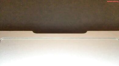 Goddessmiamuse Chaturbate Anal Dildo Fuck