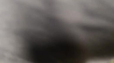 _leobaby69 Chaturbate Face Fuck Blowjob