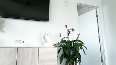 Reecemarie Topless Camshow Chaturbate