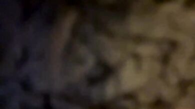 stellixyra Chaturbate Flash Tits & Ass