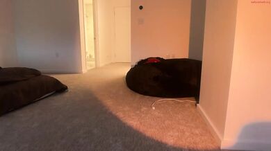 stella pearl Show Tits Grinding Pillow & Hoodie Gangster Show Chaturbate