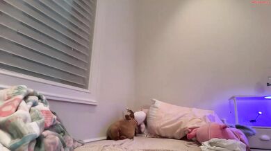 kateharperr Blonde Teen Nude Dildo Blowjob Chaturbate