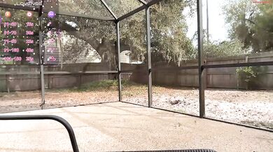 dazeydo Backyard Nude lovense Pussy Play Chaturbate