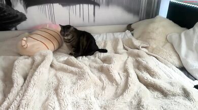 anyaa777 Wet Shirt Show Chaturbate