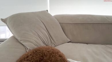 oliviabrookess Nipples Half Out Chaturbate