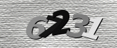 Immagine di protezione
