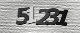 Immagine di protezione