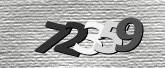 Immagine di protezione