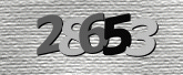Captcha resmi