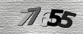 Captcha resmi