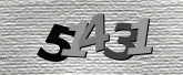 Captcha resmi