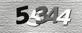 Captcha resmi