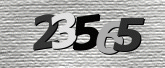 Captcha resmi