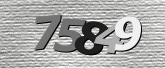 Captcha resmi