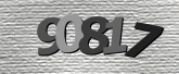 Captcha resmi