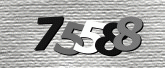 Captcha resmi