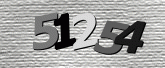 Captcha resmi