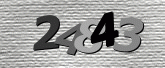 Captcha resmi