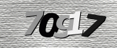 Captcha resmi