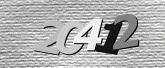 Captcha resmi