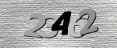 Captcha resmi