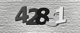 Captcha resmi