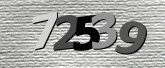 Captcha resmi