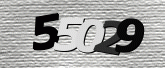 Captcha resmi