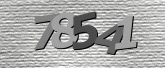 Captcha resmi