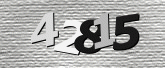Captcha resmi