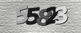 Captcha resmi