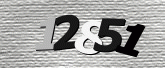 Captcha resmi