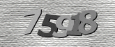 Captcha resmi