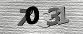 Captcha resmi