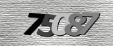 Captcha resmi