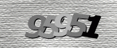 Captcha resmi
