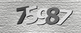 Captcha resmi