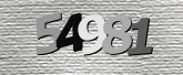 Captcha resmi