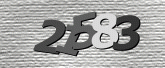 Captcha resmi