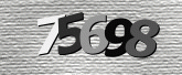 Captcha resmi