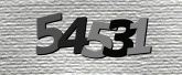 Captcha resmi