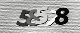 Captcha resmi