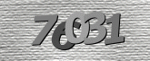 Captcha resmi