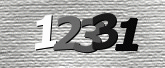Captcha resmi