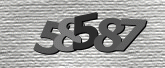 Captcha resmi